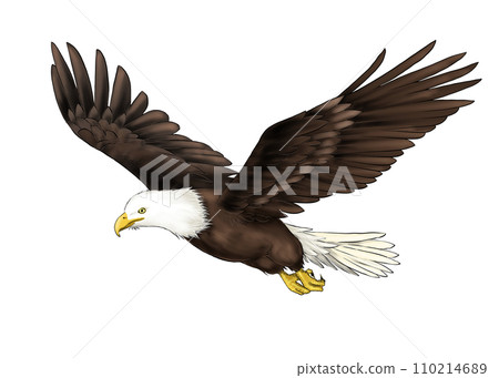 飛行禿鷹的現實例證 飛行禿鷹的現實例證 110214689