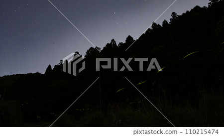 Fireflies dance in the mountains 110215474