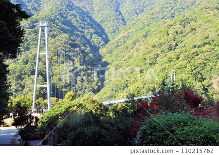 Teruha大懸索橋 Teruha大懸索橋 110215762