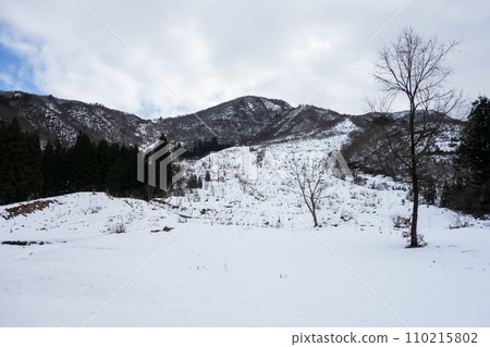 新潟縣魚沼市的城鎮景觀、Axiom 滑雪場、晴朗的冬日天空、鄉村漫步 110215802