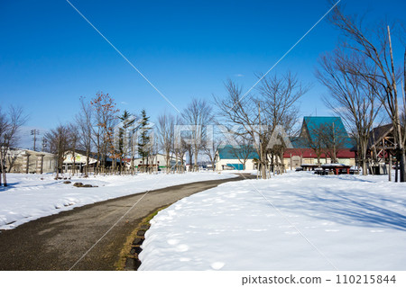 新潟縣南魚沼市,燒之森公園,雪景,晴朗的冬日天空 新潟縣南魚沼市,燒之森公園,雪景,晴朗的冬日天空 110215844