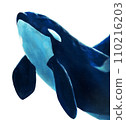 Illustration of a swimming orca 110216203