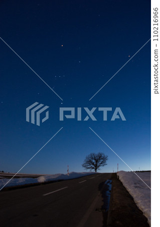 融化的山丘和冬季樹木Mikamachi 110216966