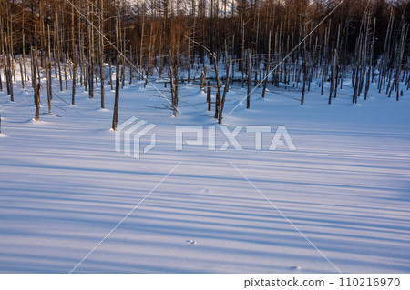 Blue pond at dusk in winter Biei Town 110216970