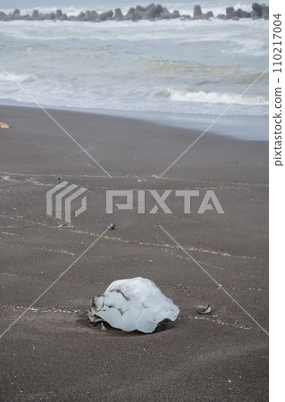 留在海灘上的流冰碎片 留在海灘上的流冰碎片 110217004