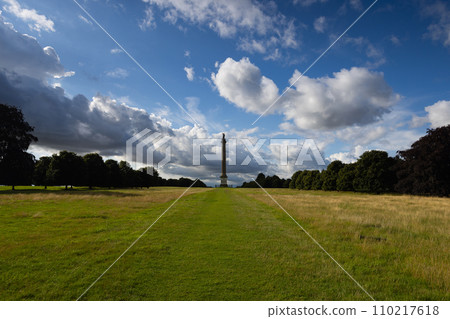 Column of Victory. It was built to commemorate the Duke of Marlborough's military successes 110217618