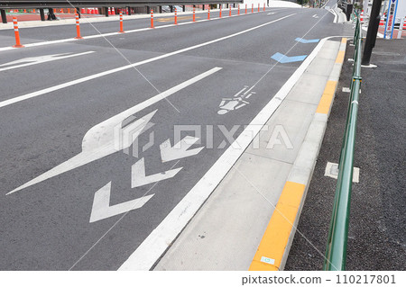 [Bicycle] Miscellaneous information about dedicated roads and signs 110217801