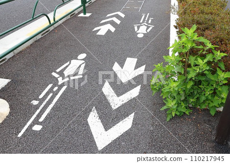 [自行車]專用道路及標誌的其他訊息 110217945