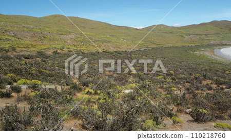 Paine National Park 005 Paine National Park 005 110218760