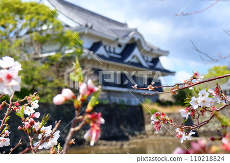 日本風景:櫻花與城堡 日本風景:櫻花與城堡 110218824