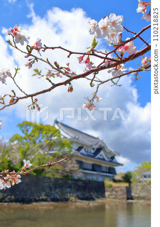 日本風景:櫻花與城堡 日本風景:櫻花與城堡 110218825