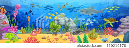 Long banner with sea underwater landscape. Cartoon shark and turtle, fish shoals, seaweeds and corals on sand bottom vector background. Blue water waves with jellyfish, seahorse, starfish, stingray Long banner with sea underwater landscape. Cartoon shark and turtle, fish shoals, seaweeds and corals on sand bottom vector background. Blue water waves with jellyfish, seahorse, starfish, stingray 110219178