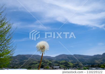 Dandelion's fluff and blue sky Dandelion's fluff and blue sky 110220122