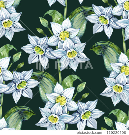 Daffodil Eucharis blossom seamless pattern. Hand drawn narcissus flowers. Soft floral for natural or romantic design, fabric, wrapping, paper dishes prints. 110220508