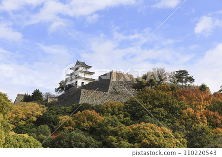 丸龜、香川、從丸龜城宮殿遺址看到的城堡塔樓和石牆 110220543