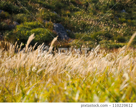 與Susuki的風景 與Susuki的風景 110220612