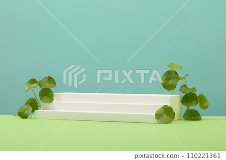 Centella asiatica leaves are used to decorate a white terraced platform on a pastel background. Ideal space to display products for advertising. Centella asiatica leaves are used to decorate a white terraced platform on a pastel background. Ideal space to display products for advertising. 110221361