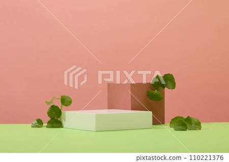 Two podiums and pennywort leaves are placed next to each other on a pink background. Gotu kola possesses 4 compounds that effectively prevent aging. Copy space for ads. Two podiums and pennywort leaves are placed next to each other on a pink background. Gotu kola possesses 4 compounds that effectively prevent aging. Copy space for ads. 110221376