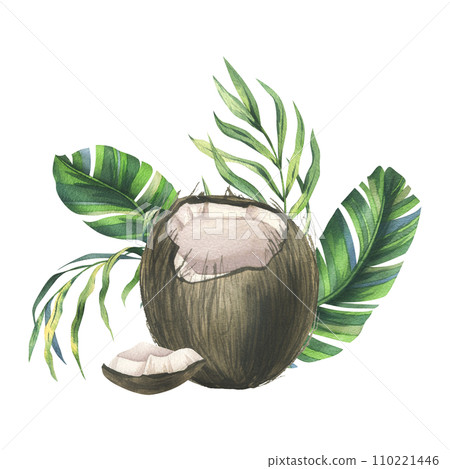 Coconuts whole, halves and pieces with bright, green, tropical palm leaves. Hand drawn watercolor illustration. Pre-made composition isolated from the background. 110221446