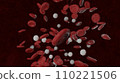 erythrocytes in vein 3d illustration 110221506