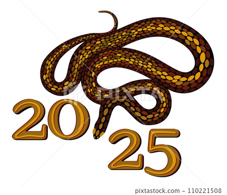 2025. Chinese year of snake. Bright isolated illustration 110221508