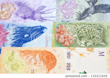 Argentine peso a business background 110221626