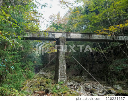 廢棄鐵路線的風景 110221637