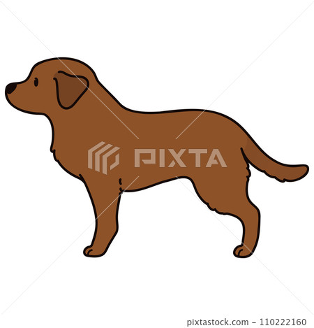 一隻簡單可愛的巧克力沙拉布拉多犬用主線側視的插圖 一隻簡單可愛的巧克力沙拉布拉多犬用主線側視的插圖 110222160