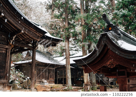 Hie Shrine and forest with winter snow in Takayama, Gifu, Japan Hie Shrine and forest with winter snow in Takayama, Gifu, Japan 110222256