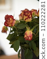 Yellow-red roses in a vase in detail 110222281