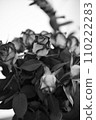 Bouquet of roses in black and white 110222283