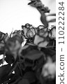 Bouquet of roses in black and white 110222284