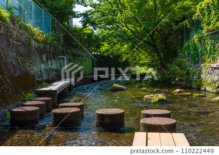 春天的靜岡縣三島市,源北川綠意盎然 春天的靜岡縣三島市,源北川綠意盎然 110222449