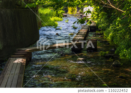 Spring in Mishima City, Shizuoka Prefecture, Genbei River in fresh greenery 110222452
