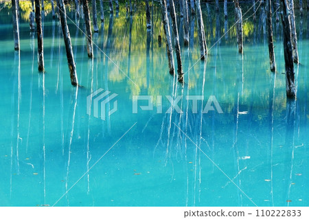 Blue Pond Biei-cho, Hokkaido Blue Pond Biei-cho, Hokkaido 110222833