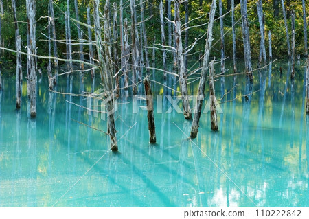 Blue Pond Biei-cho, Hokkaido Blue Pond Biei-cho, Hokkaido 110222842