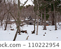 Akagami Shrine Goshado snow scene 110222954