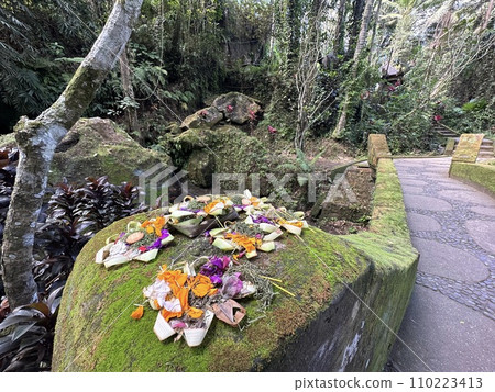 Offerings from Goa Gajah Ruins: Canan Offerings from Goa Gajah Ruins: Canan 110223413