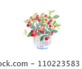 Illustration of a potted plant with red flesh painted in watercolor Illustration of a potted plant with red flesh painted in watercolor 110223583
