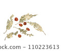 Acorn material illustration painted in watercolor white background Acorn material illustration painted in watercolor white background 110223613