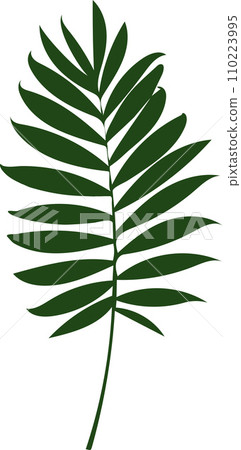 Green palm tree branch isolated on white background 110223995