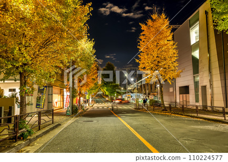 川崎市宮前平站宮前區的城市景觀 川崎市宮前平站宮前區的城市景觀 110224577