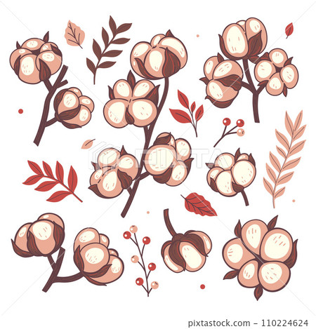 Set of cotton sprigs isolate on a white background. Vector graphics. 110224624