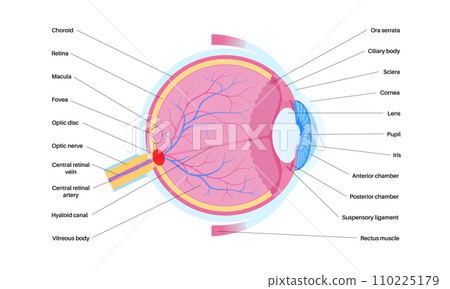 Blind spot poster Blind spot poster 110225179
