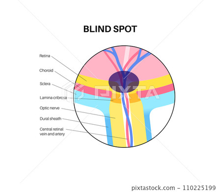 Blind spot poster 110225199