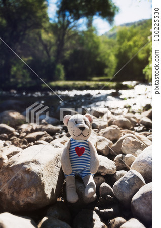 teddy bear toy sits in nature by river in summer. Concept of travel teddy bear toy sits in nature by river in summer. Concept of travel 110225530