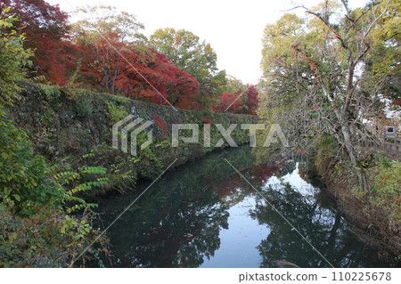 兵庫姬路姬路城石牆和秋葉在清晨 110225678