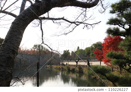 姬路,兵庫縣,姬路城護城河和秋葉在清晨 姬路,兵庫縣,姬路城護城河和秋葉在清晨 110226227