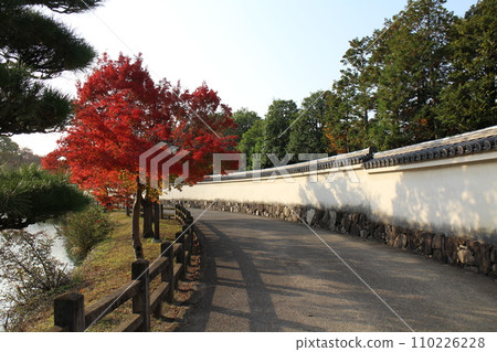 姬路,兵庫縣,姬路城護城河和秋葉在清晨 姬路,兵庫縣,姬路城護城河和秋葉在清晨 110226228