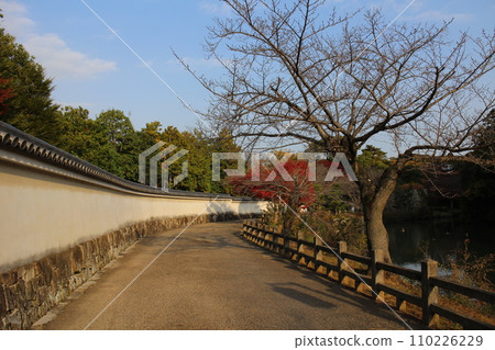 姬路,兵庫縣,姬路城護城河和秋葉在清晨 姬路,兵庫縣,姬路城護城河和秋葉在清晨 110226229